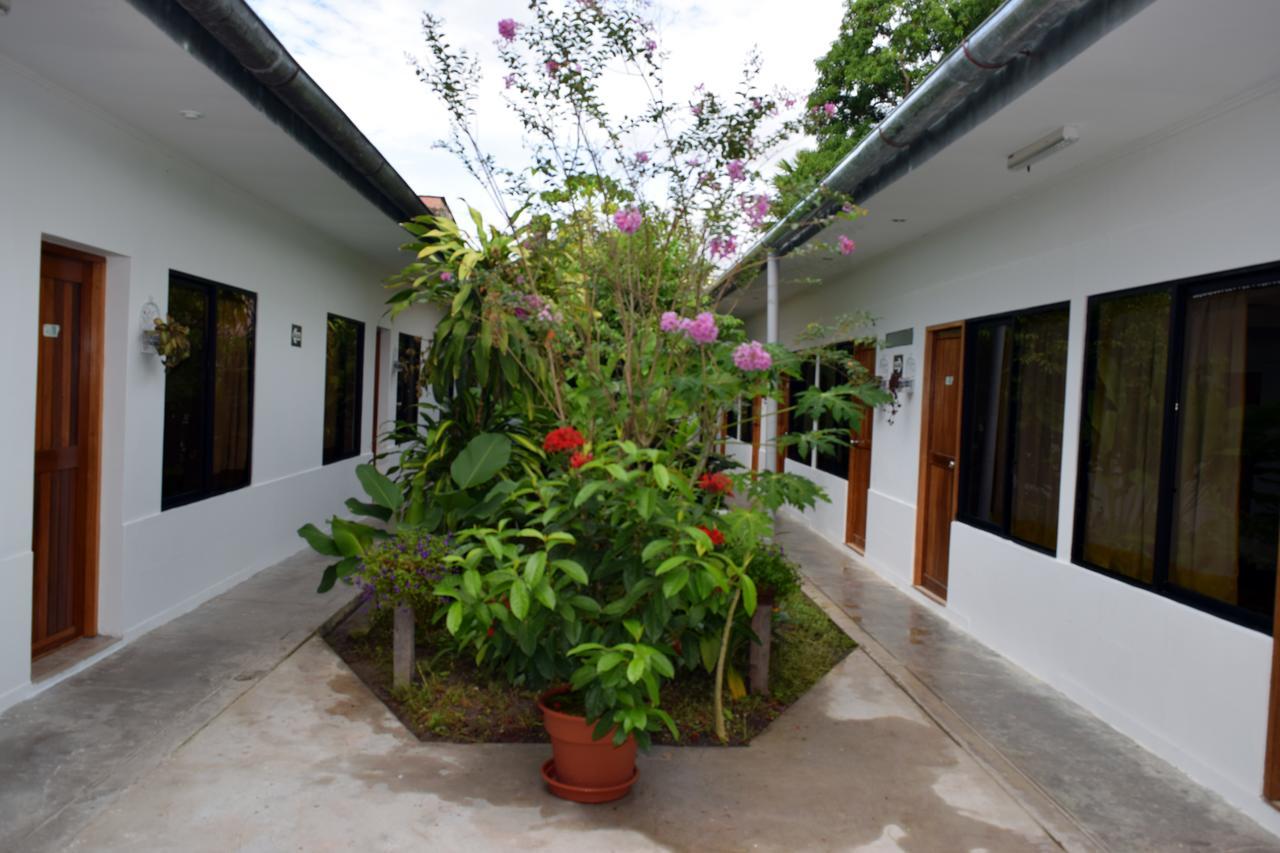 Hotel Jungle House