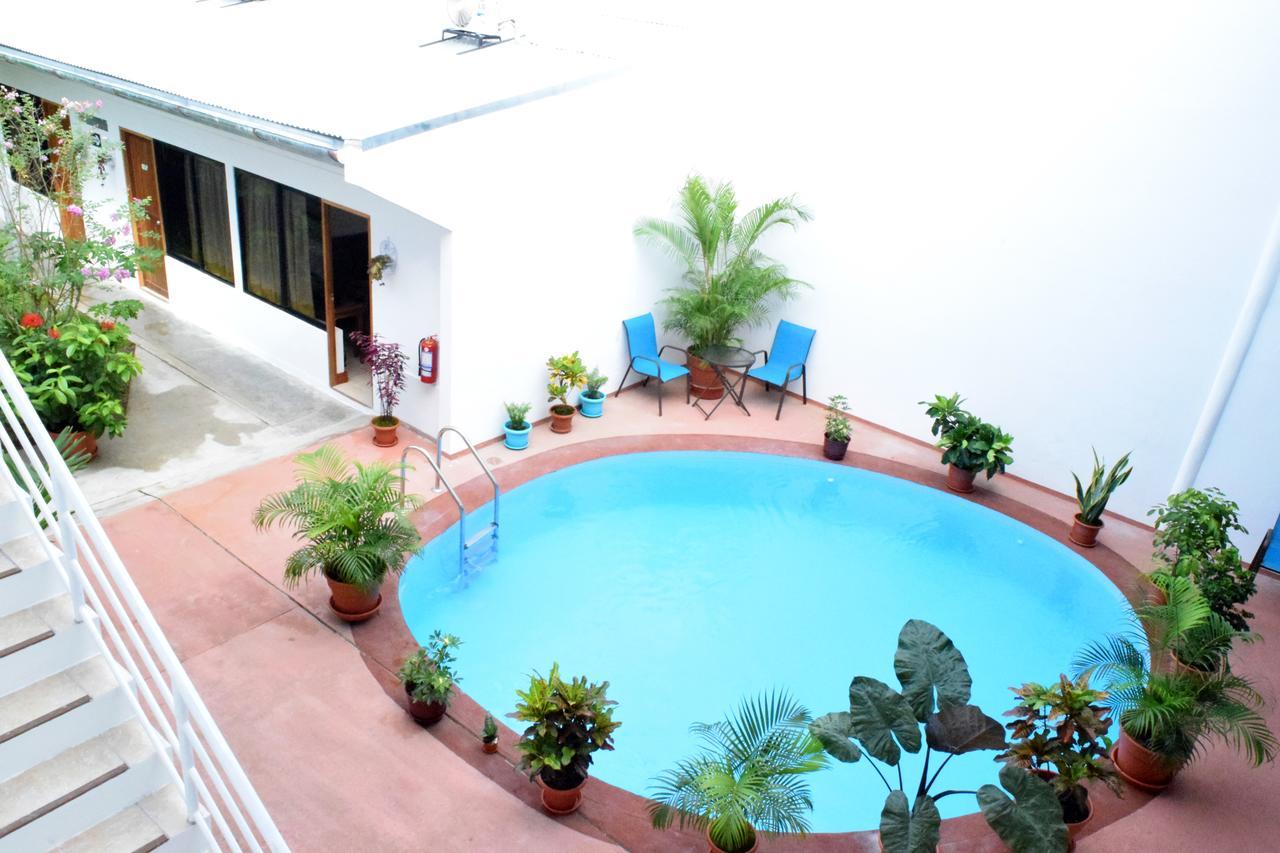 Hotel Jungle House